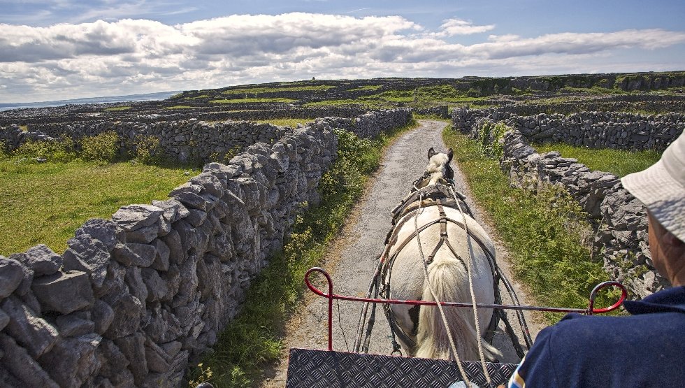 Horse & Cart on Aran Islands Doolin - Do - Aran - Horse & Cart