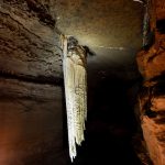 Doolin Cave and Visitor Centre