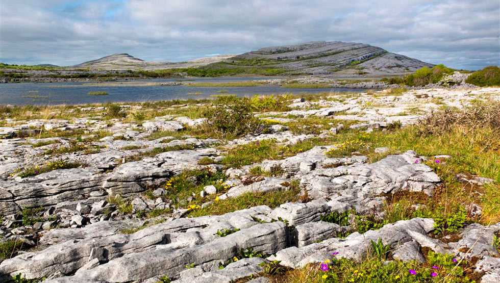 The Burren and Cliffs of Moher UNESCO Global Geopark