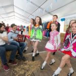 Fleadh Cheoil na hÉireann