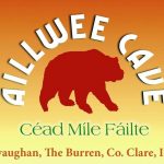 Aillwee Cave & Burren Birds of Prey Centre
