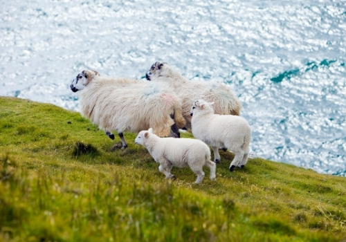 Family Breaks in Doolin