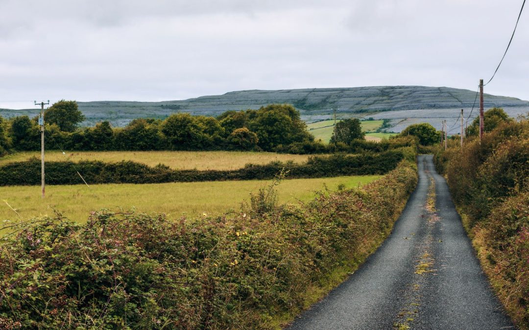 Driving in Ireland? Tips to Use Google Maps Without Ending Up on the Smallest Roads