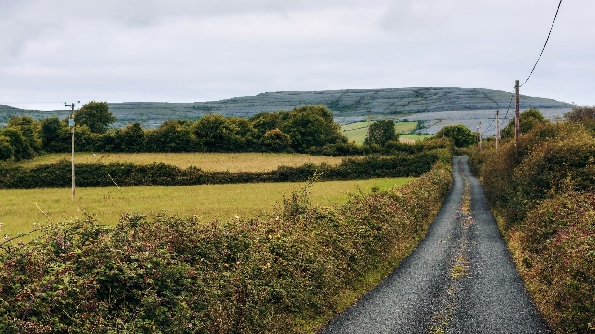 Driving in Ireland? Tips to Use Google Maps Without Ending Up on the Smallest Roads