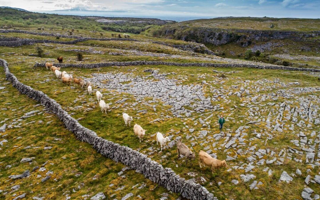 October Events to Experience in The Burren